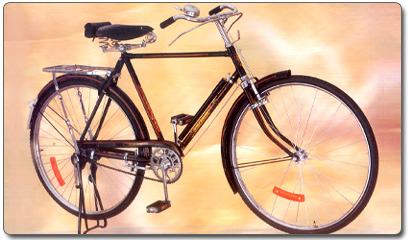African Standard Bicycle Exporter In India, Ludhiana, Punjab, India.